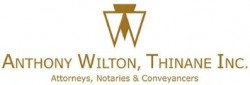 Anthony Wilton, Thinane Inc