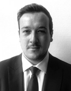  David Michael Britz of Thomson Wilks Law Firm