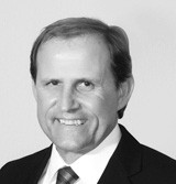  Steyn Botha of Strauss Daly Inc Law Firm